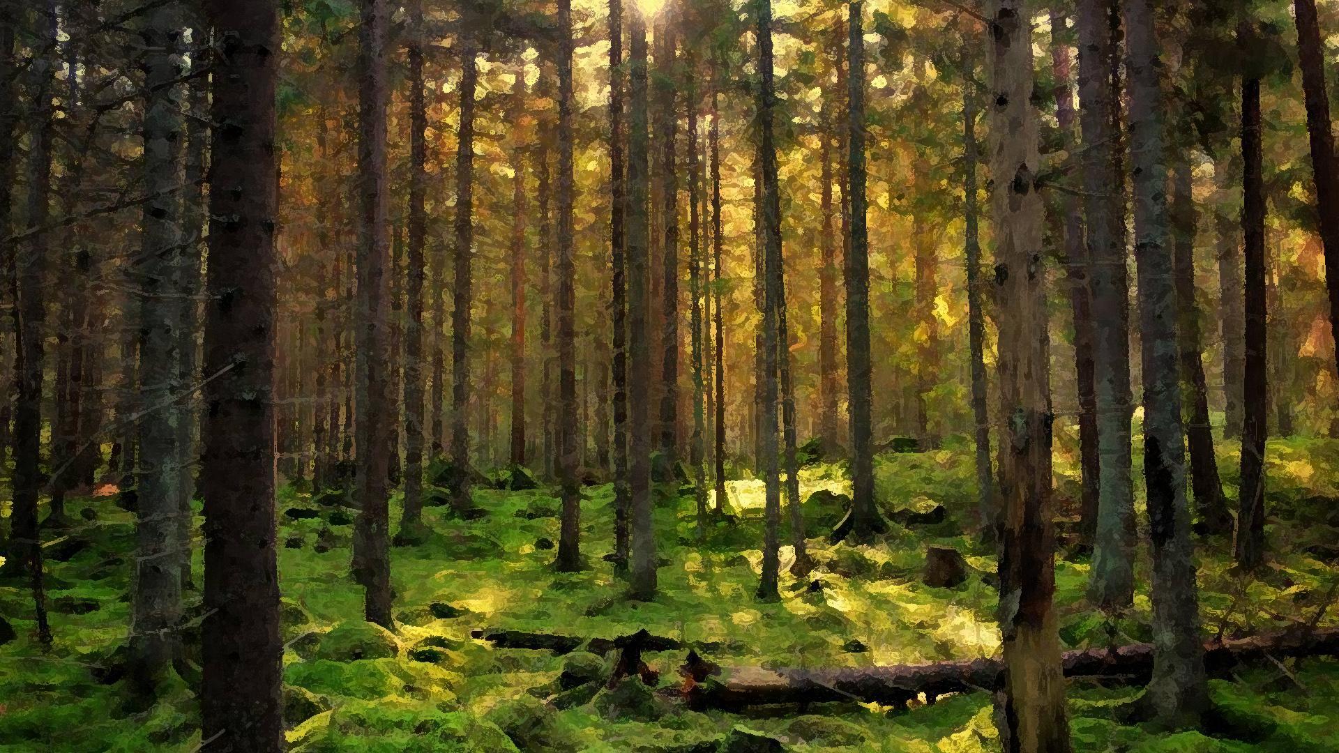 Wallpapers for Nature