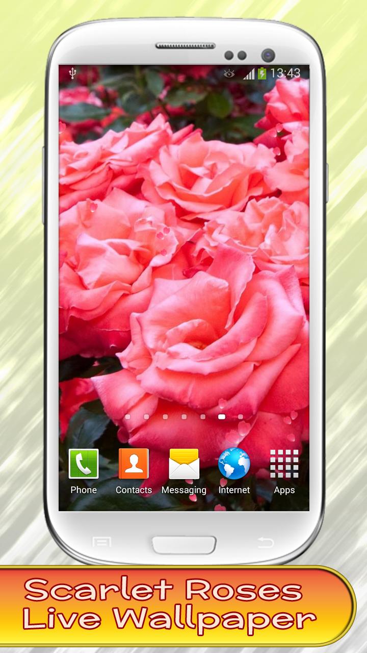 Scarlet Rose Live Wallpaper