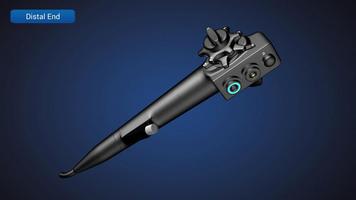 Endoscopy in Dogs (Free)