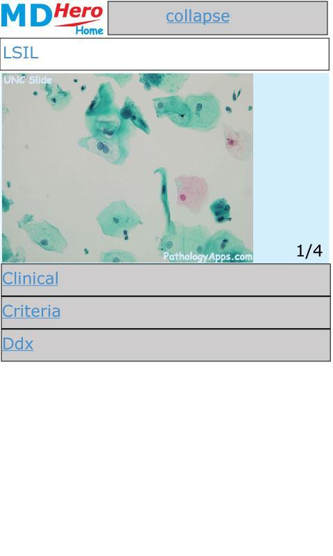 Cytology