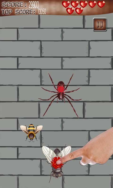 Ant and Bug kill Welt