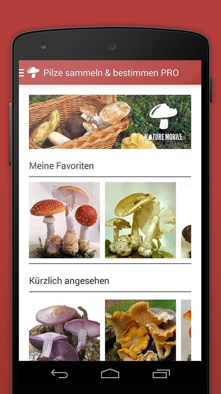 Pilze sammeln & bestimmen LITE