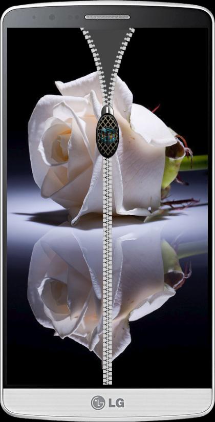 Rose  Roses zipper lock screen