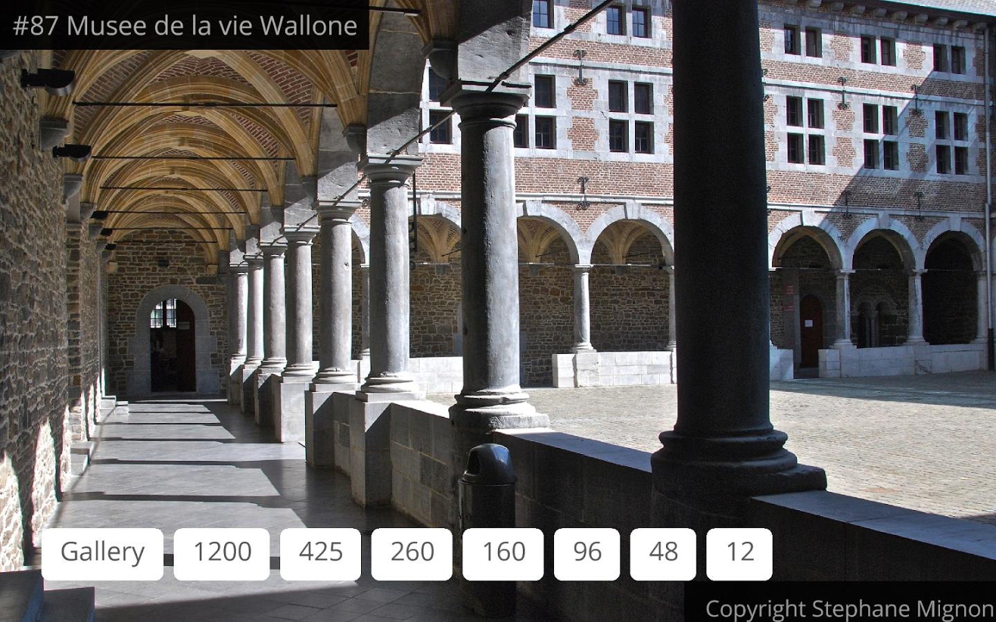 PuzzleBoss Unlimited Jigsaws