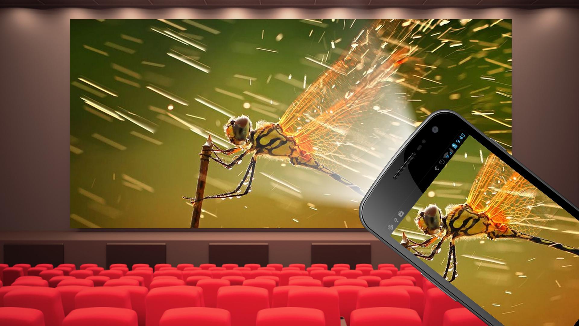 Video Projector Simulation