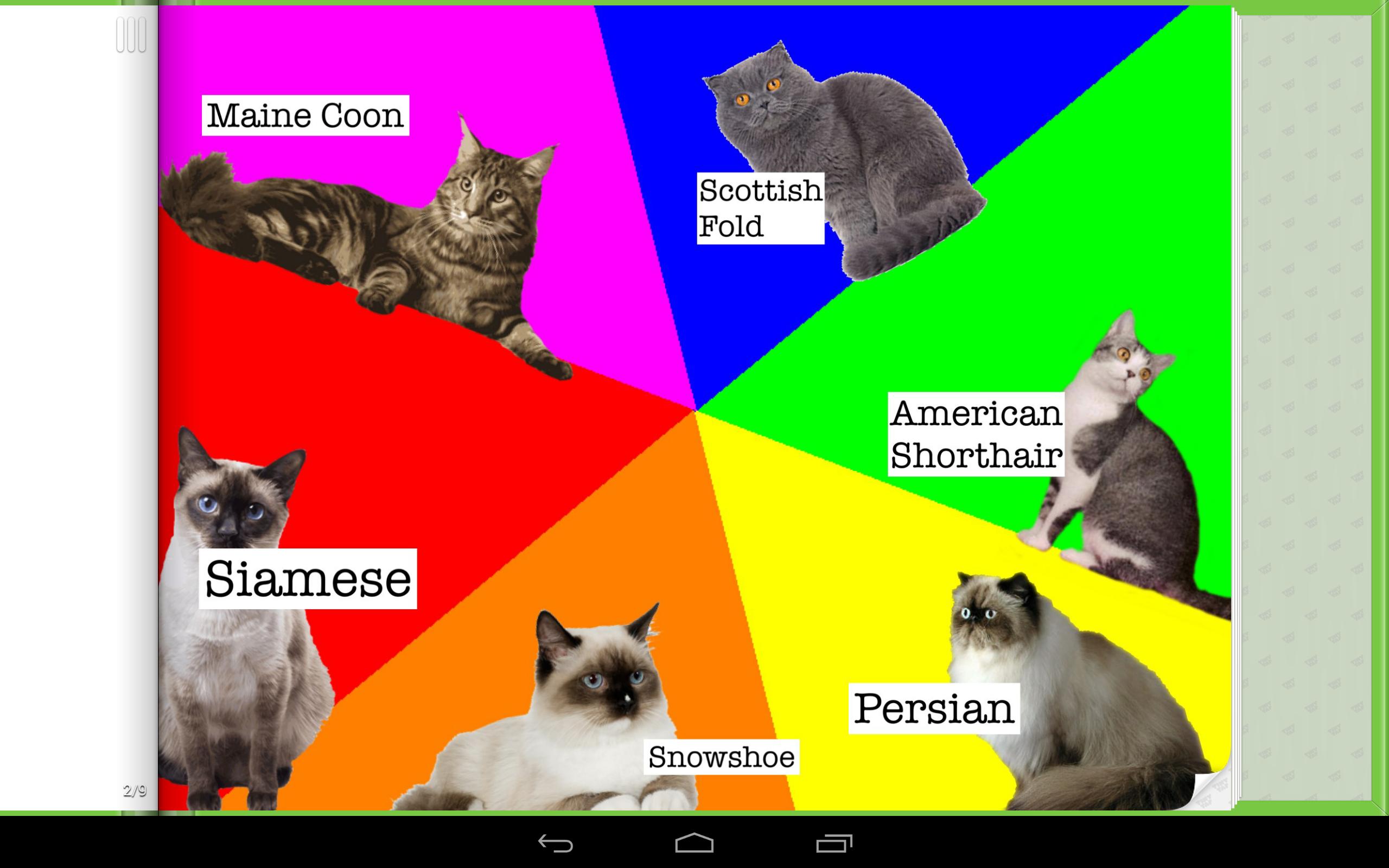 Cat Memes & Breeds Game