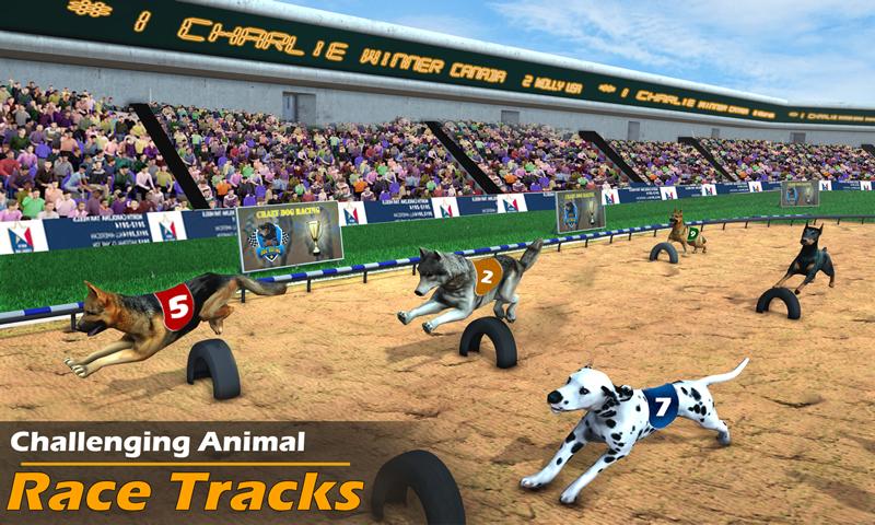 Racing Dog Simulator: Crazy Do