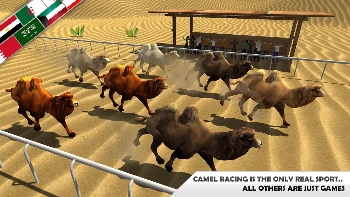 Wild Camel Racing Simulator