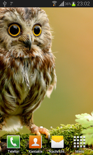 Owls Live Wallpaper