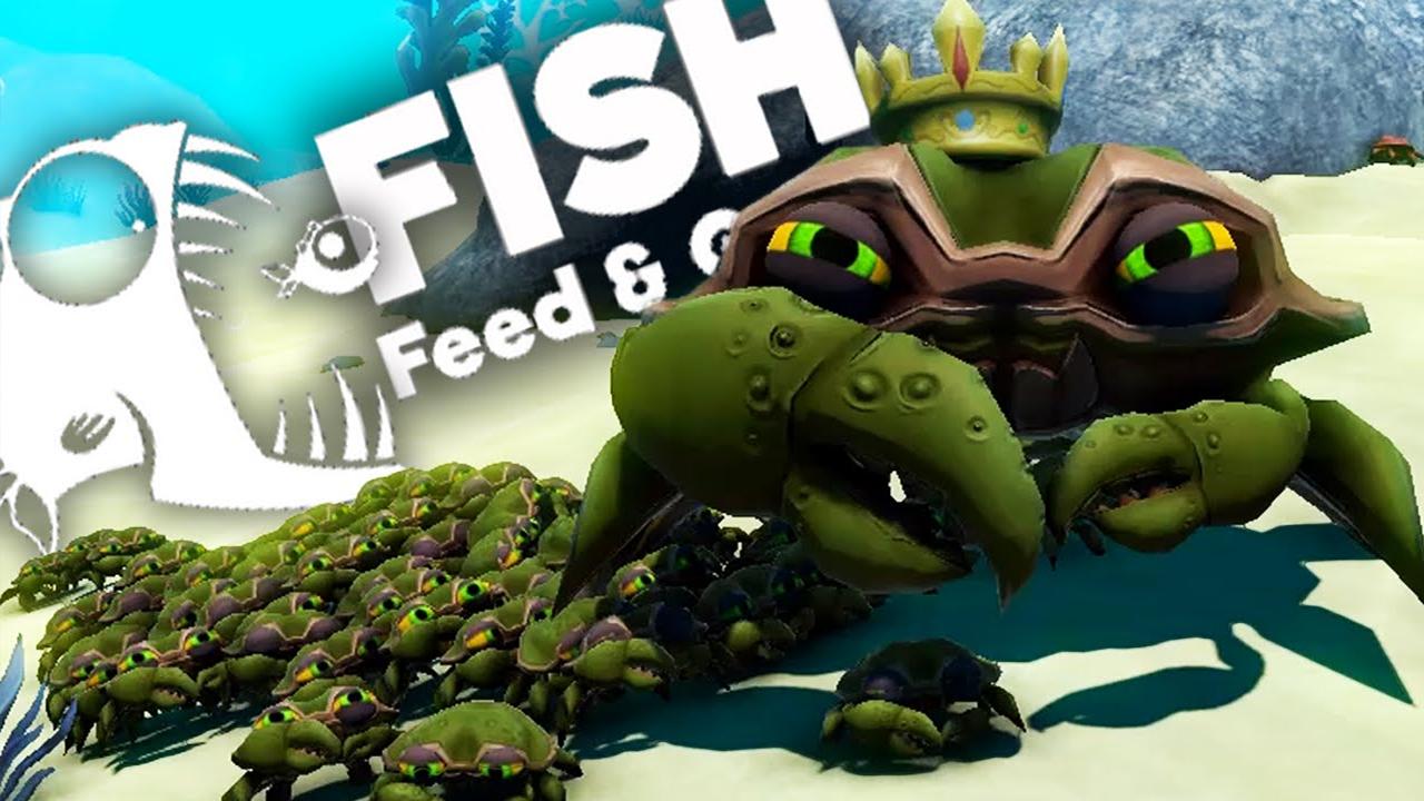 Feed and Grow : Fish Guide