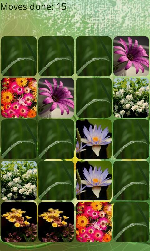 Flowers Memory HD