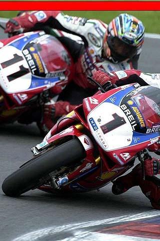 Neil Hodgson Ducati Puzzle