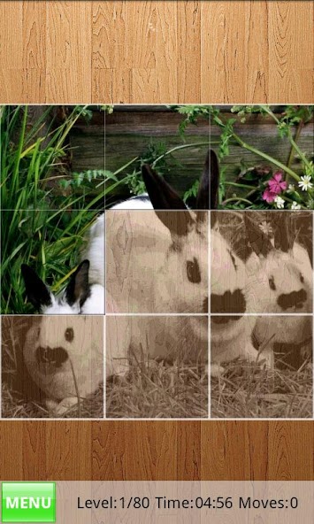 Rabbits Jigsaw Puzzles