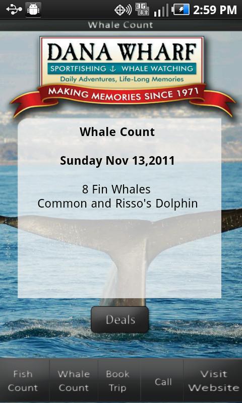 Dana Wharf Fish Count