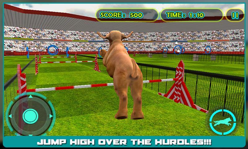 Dog Stunt Show Simulator 3D