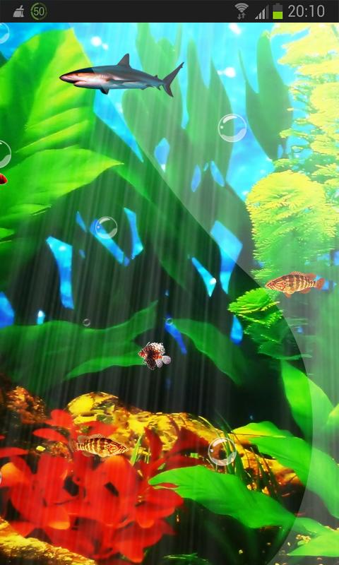 Perfecto Aquarium Real Fish HD