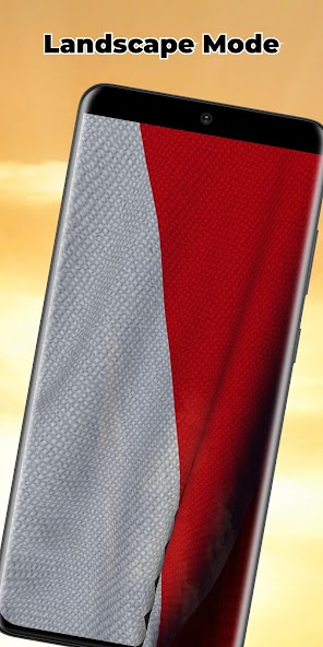 Indonesia Flag
