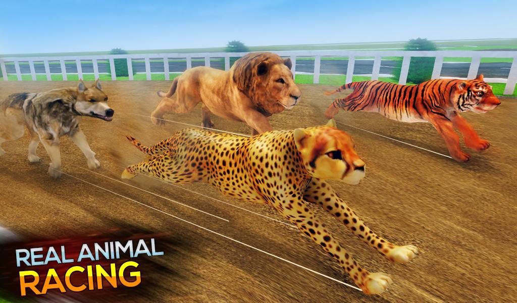 Real Safari Animal Racing Simulator - Wild Race 3D