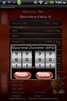 Abacus OB Prime - Standard