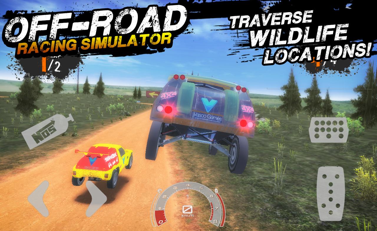 Offroad racing simulation