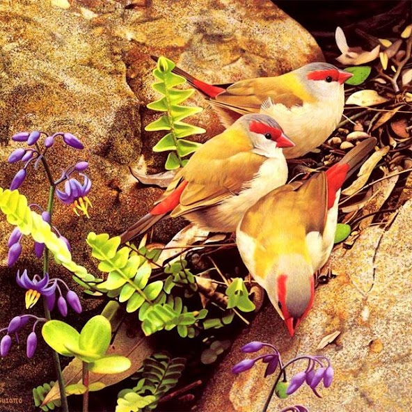 Birds Jigsaw Puzzles