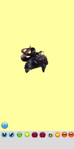 Hair style changer women salon