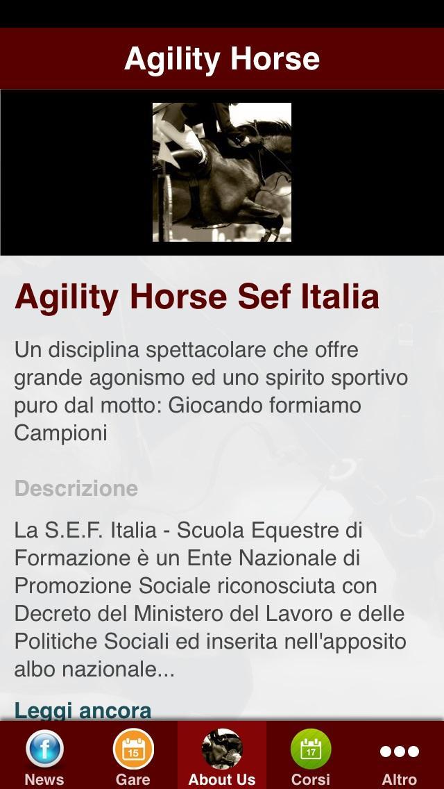 Agility Horse SEF Italia