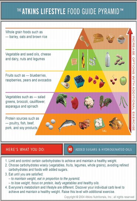 Total Atkins Diet Guide FREE