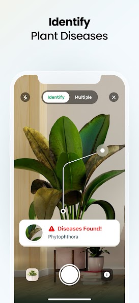 Plant App - Plant Identifier