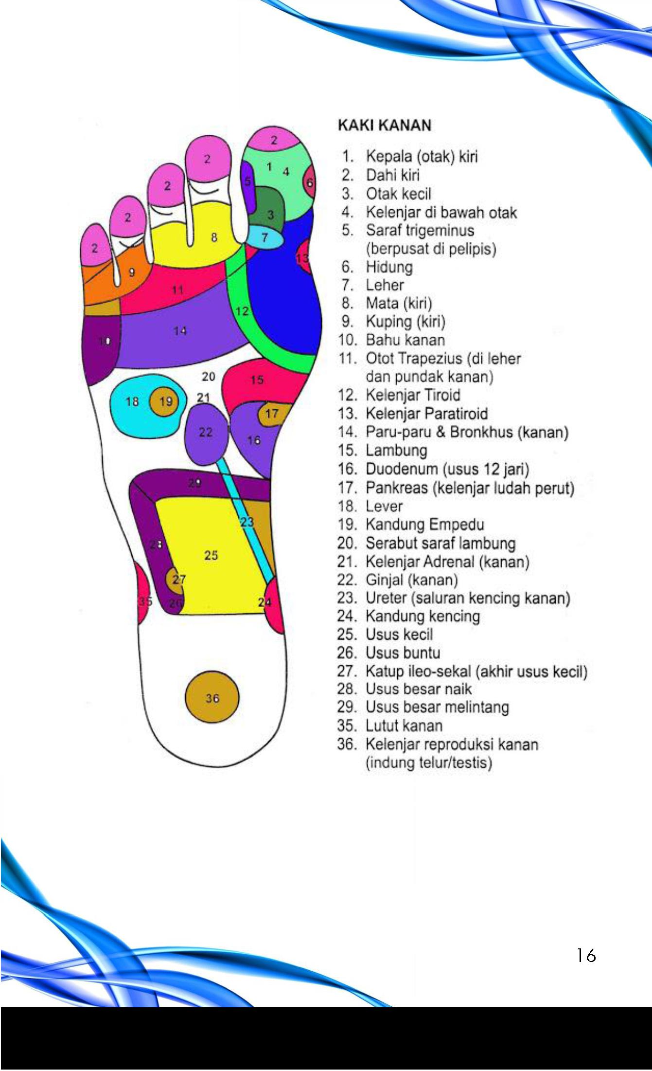 Teknik Pijat Refleksi