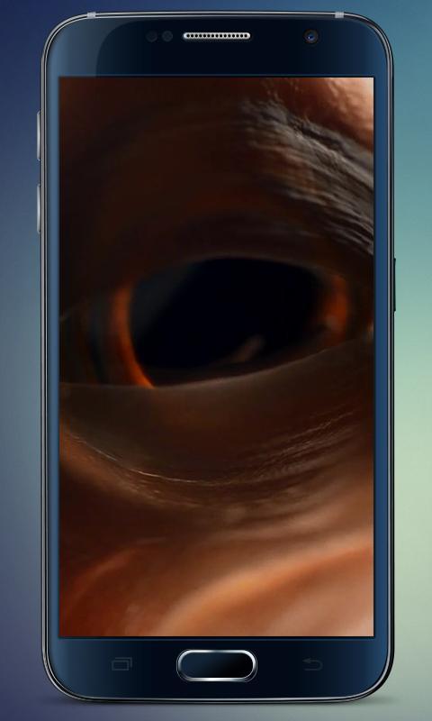 Embryo Dragon Live Wallpaper