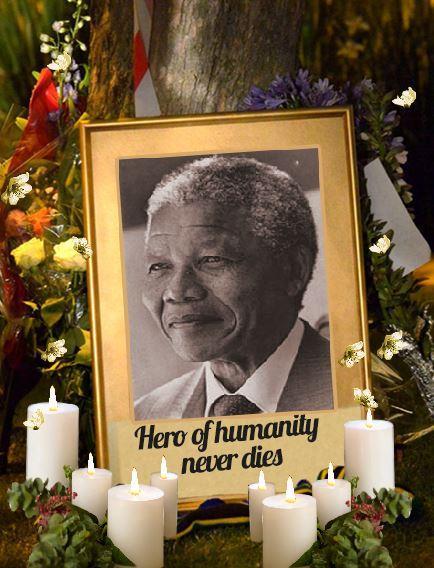 Nelson Mandela Live Wallpaper