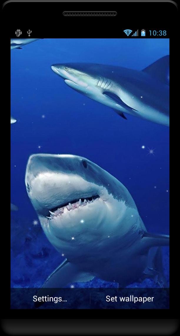 Shark Live Wallpaper