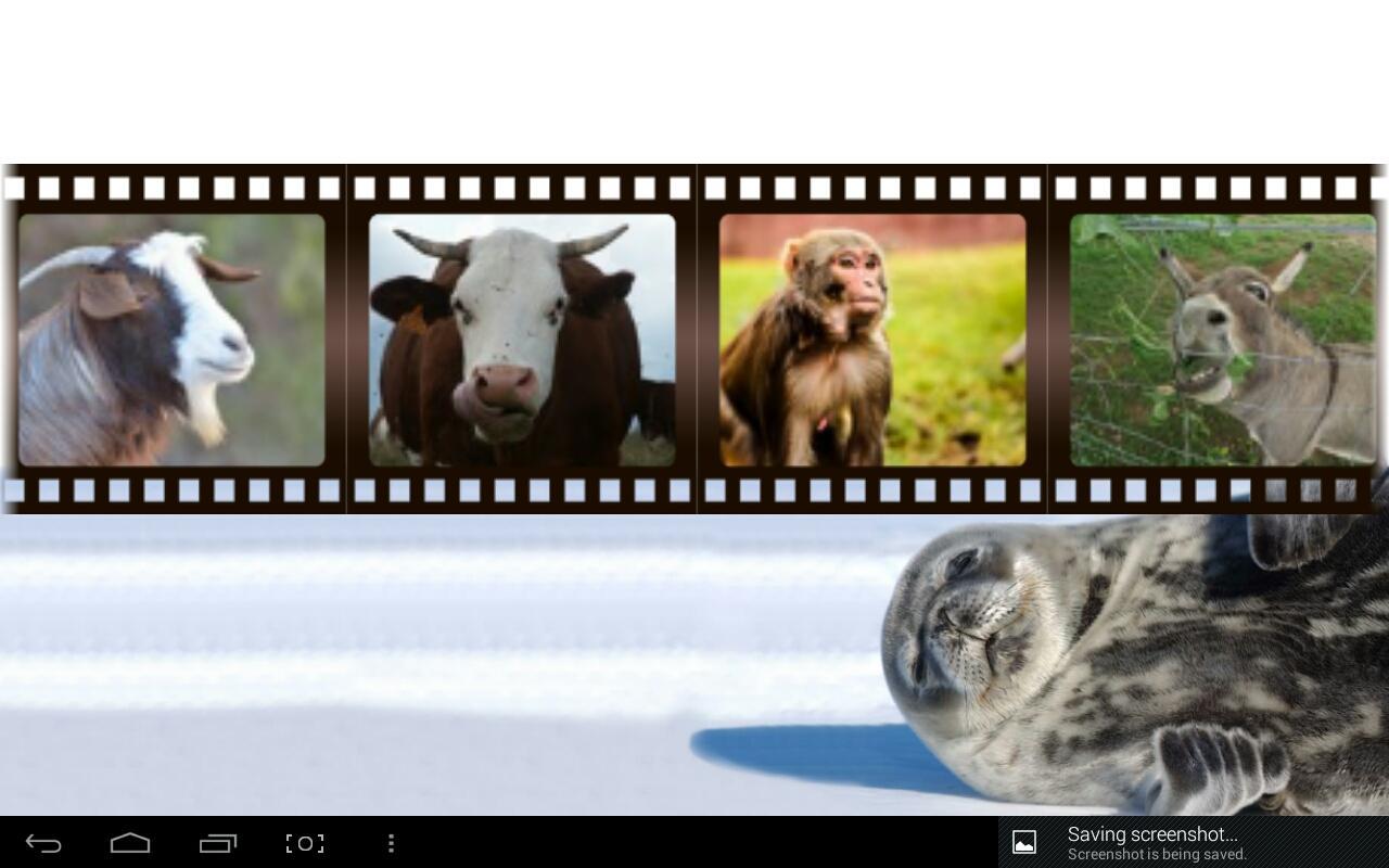 Best Funny Animals Sounds