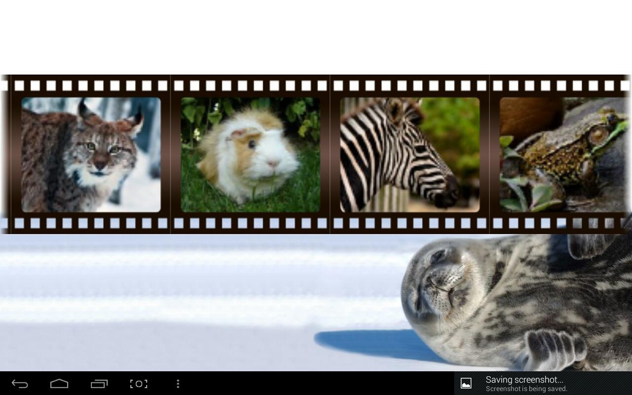 Best Funny Animals Sounds