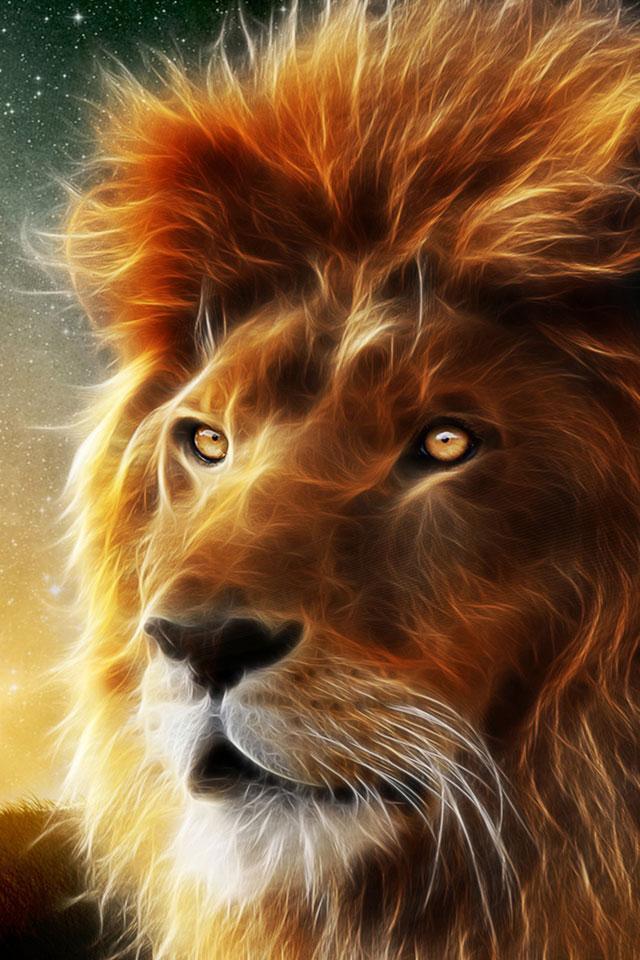 Lion Wallpaper