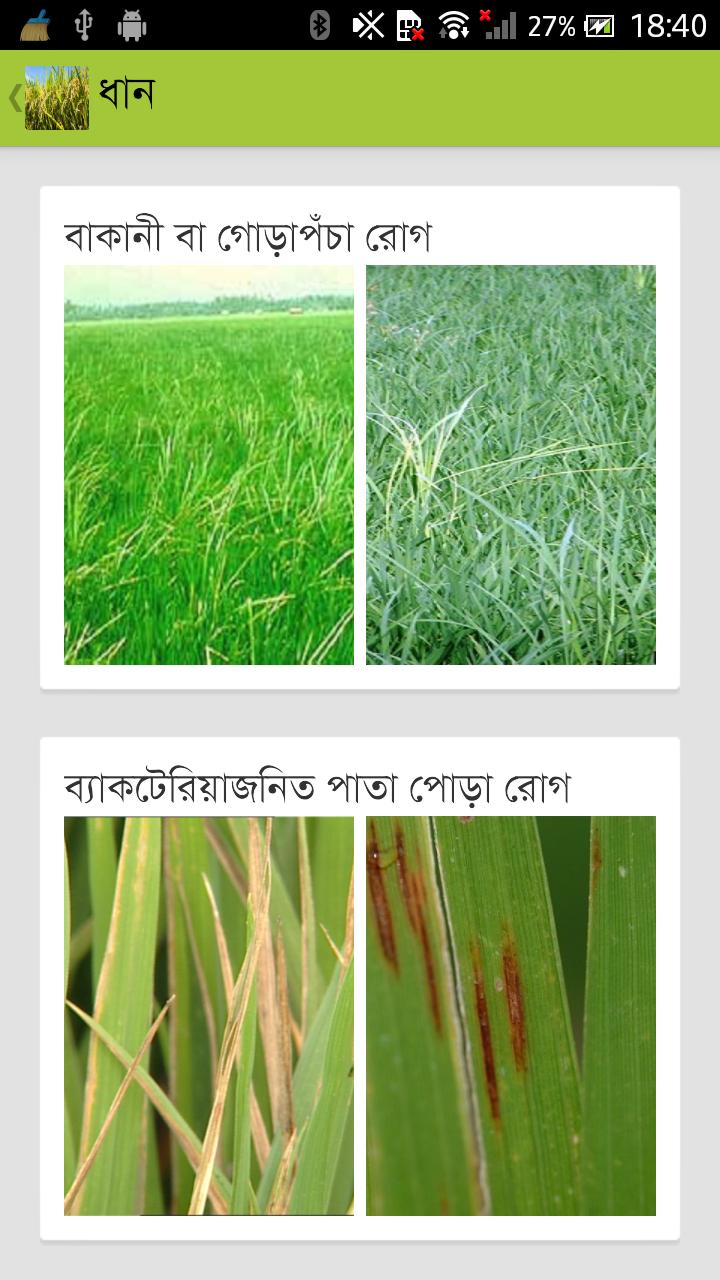 Insect Control Of Crop