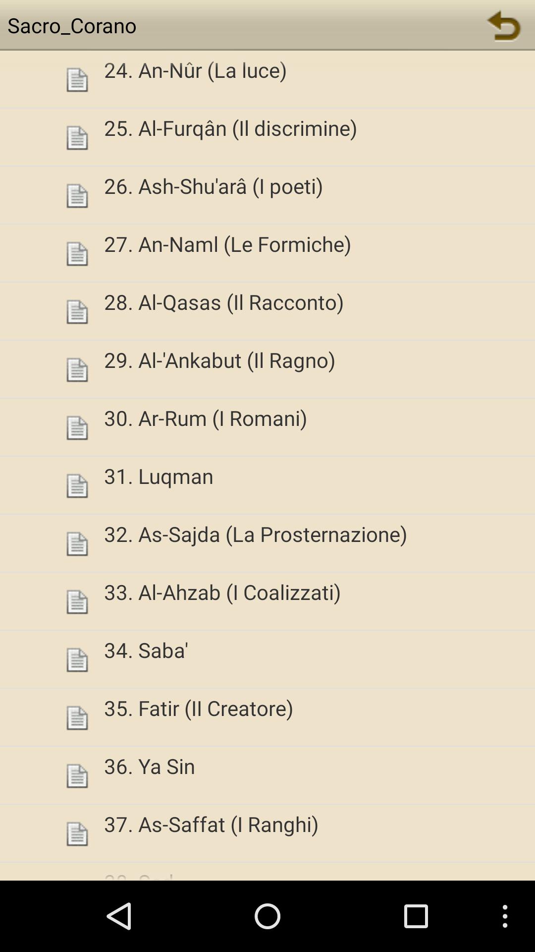 Sacro Corano (Italiano)