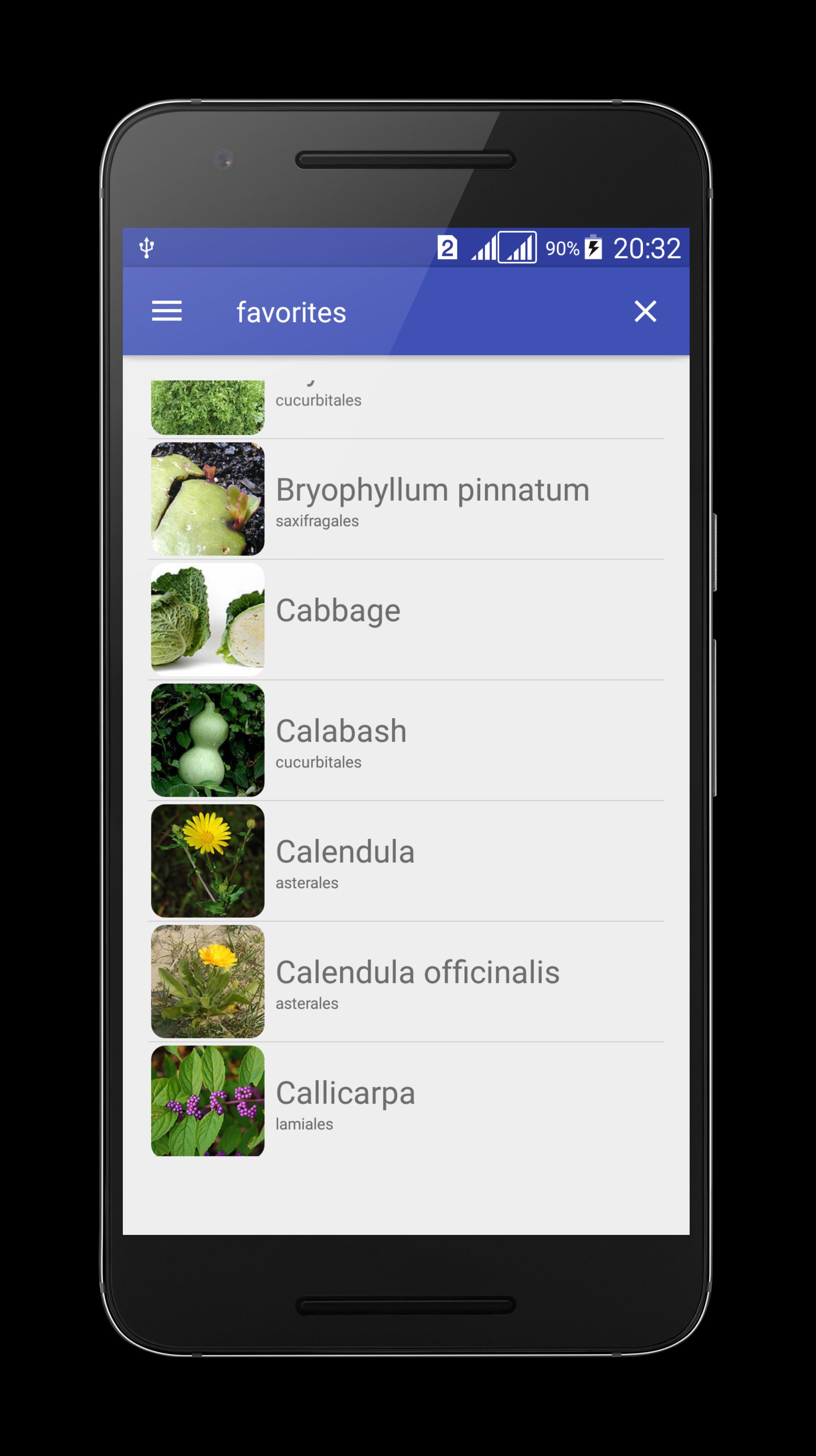 Medicinal herbs and plants