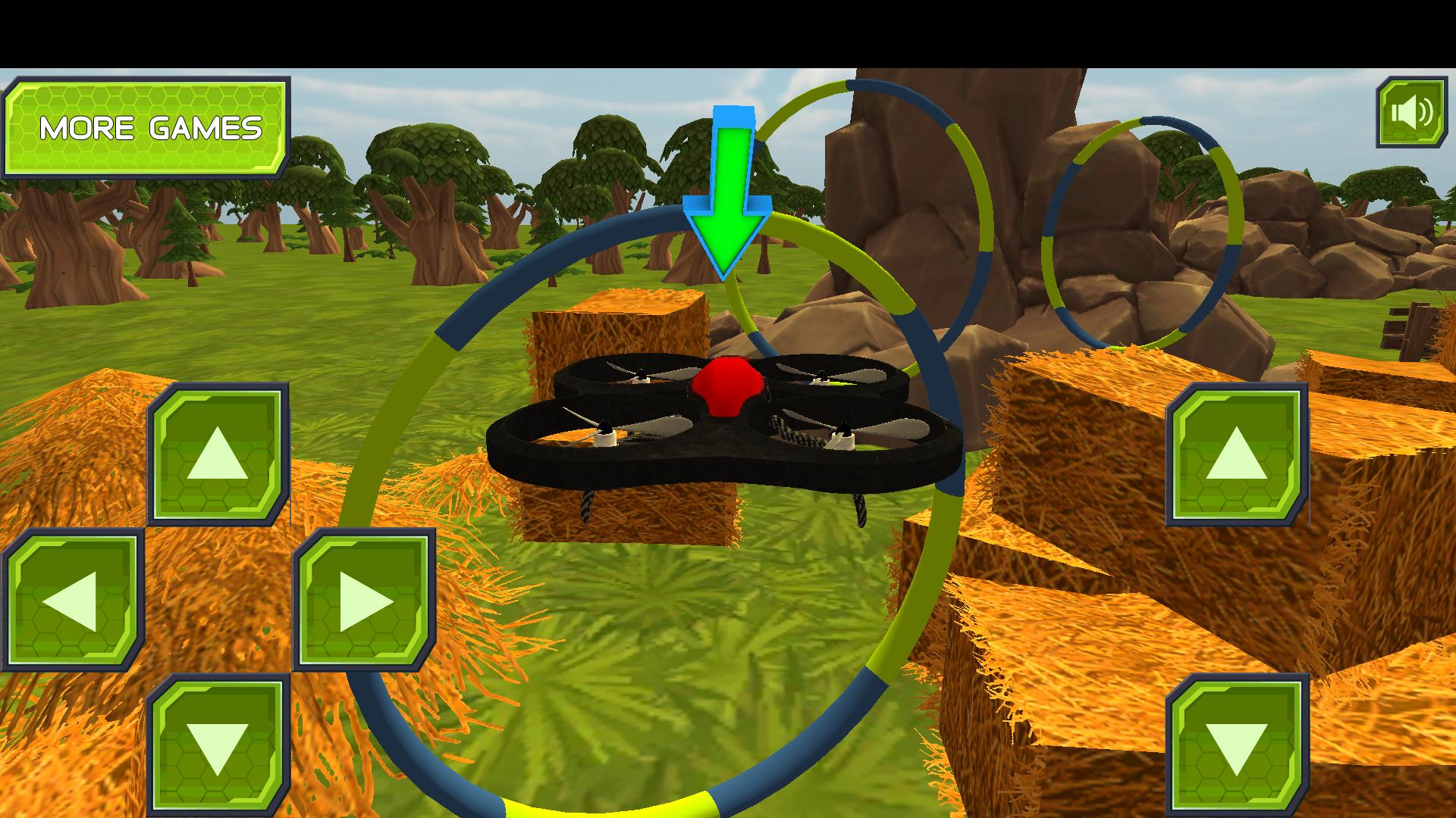 Real Drone Simulation