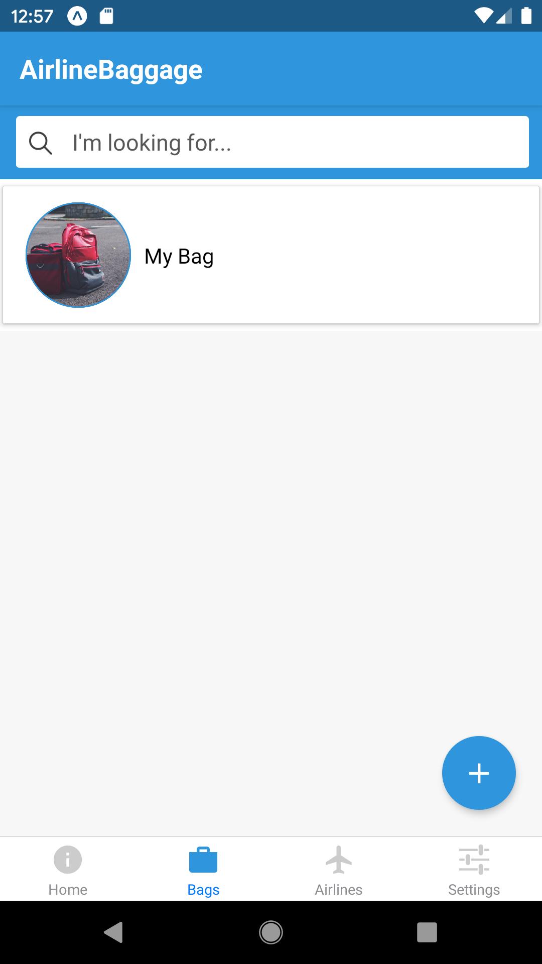 Airline Baggage