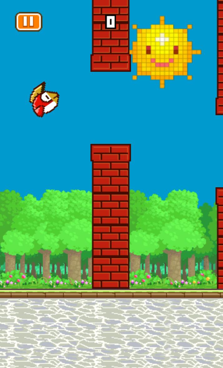 Rocky Bird