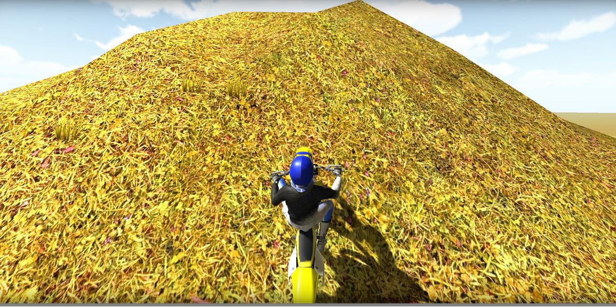 Motocross Simulator