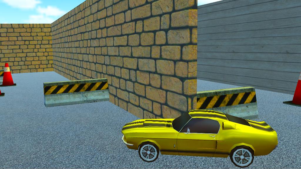 Toy Car Rally