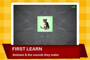 Animal Calls Lite