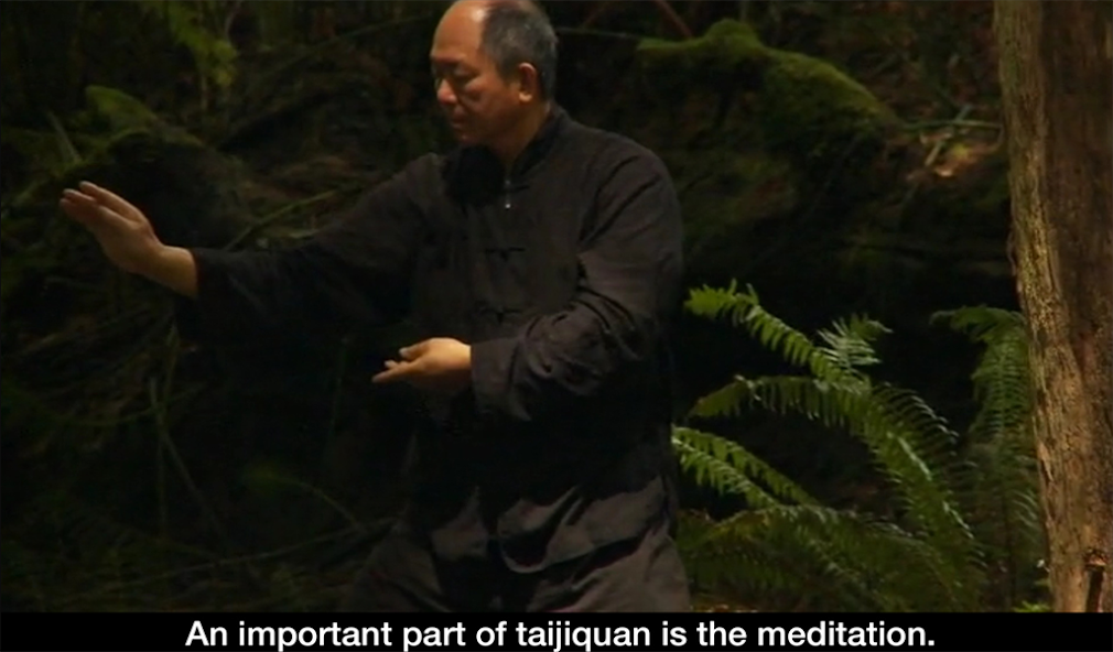 Yang Tai Chi for Beginners 2&3