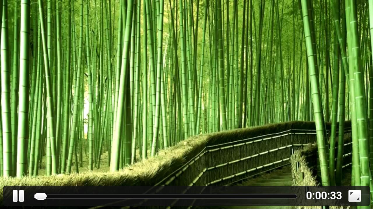 Sleeping Music