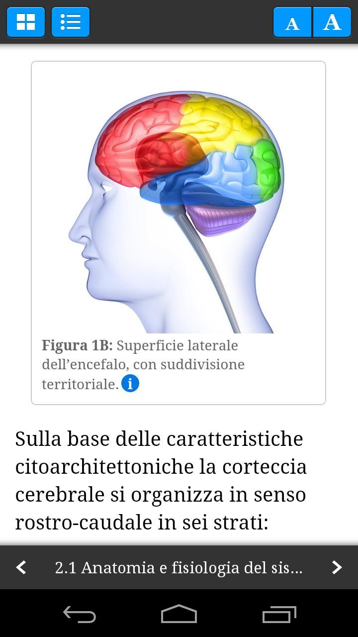 EEG Guide