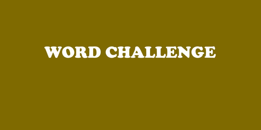 Word Challenge Find