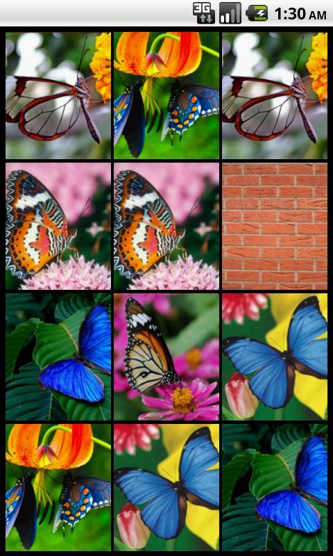 Memory (Butterflies)
